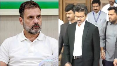 விஜய் - ராகுல் சந்திப்பு நடக்காமல் போனதற்கான உண்மைக் காரணம் என்ன? அதிர்ச்சி தரும் பின்னணி