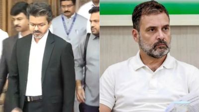 கண்ணா ரெண்டு லட்டு திண்ண ஆசையா? விஜய்யை சூப்பராய் பயன்படுத்தும் ராகுல்! 5 மாசத்துல 2 எம்பி! பிரமாதம் 