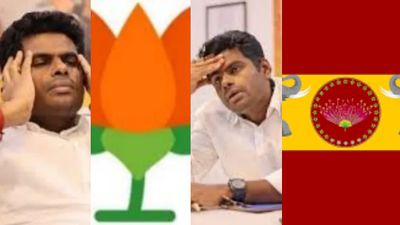 ஆட்டத்தை கலைத்த 