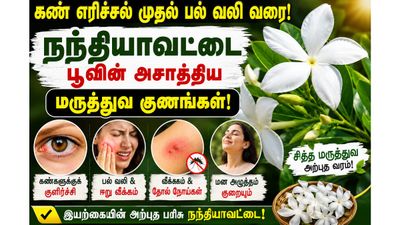 கண் எரிச்சல் முதல் பல் வலி வரை: நந்தியாவட்டை பூவின் அசாத்திய மருத்துவ குணங்கள்!