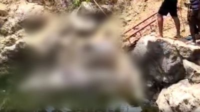  மாயமான தவெக நிர்வாகி 4 நாட்களுக்குப் பின் சடலமாக மீட்பு.. கல் குவாரி பள்ளத்தில் உடல் கண்டெடுப்பு!