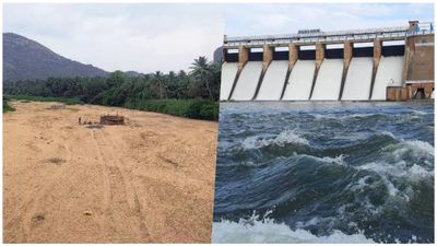 தேனியில் வைகை அணை உள்பட 258 நீர்நிலைகளில் இலவசமாக மண் எடுப்பது எப்படி? கலெக்டர் விளக்கம்