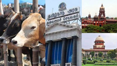 பொதுஇடத்தில் பசுமாடு வெட்ட தடை.. ஹைகோர்ட் உத்தரவை எதிர்த்து உச்சநீதிமன்றத்தில் தமிழக அரசு முறையீடு
