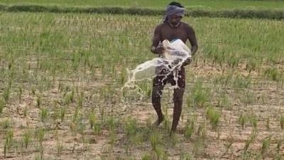 மேட்டூரில் இருந்து இன்று வரை திறக்கப்படாத தண்ணீர்.. தஞ்சையில் 60,000 ஏக்கர் குறுவை சாகுபடி பாதிப்பு