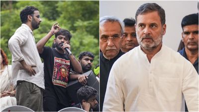 அன்னா ஹசாரே கற்று தந்த பாடம்.. கரப்பான் பூச்சி கட்சி போராட்டத்திற்கு ராகுல் மவுனம் ஏன்! பின்னணி