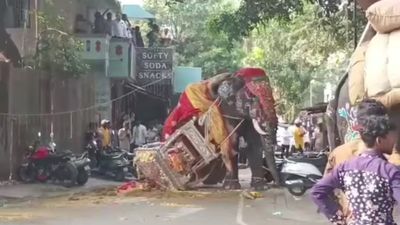 தசரா விழாவில் மிரண்டு ஓடிய யானை! நடு வழியில் நிறுத்தப்பட்ட ஊர்வலம்.. பதைபதைத்த கர்நாடகா