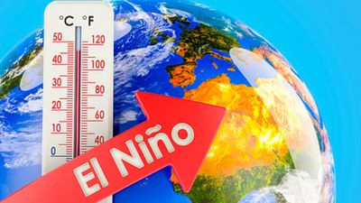 El Nino: பசிபிக் கடலில் புதிய உச்சம் தொட்ட வெப்பம்! இந்தியாவில் பருவமழையில் தாக்கம் இருக்குமா?