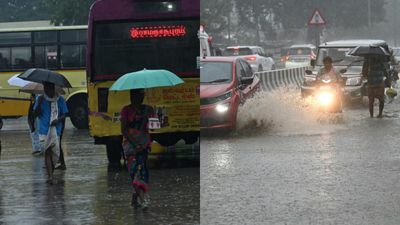 சென்னையை பார்த்துக்கிட்டு இருந்தா.. ராமநாதபுரத்தில் வேலையைக் காட்டிய மழை! மக்களுக்கு பறந்த வார்னிங்! 