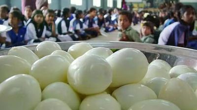 மிகப்பெரிய முட்டை ஊழல்? விஜய் ஆட்சியில்.. அரசுப் பள்ளி மதிய உணவில் முட்டை மிஸ்ஸிங்.. கொடுமை சார்
