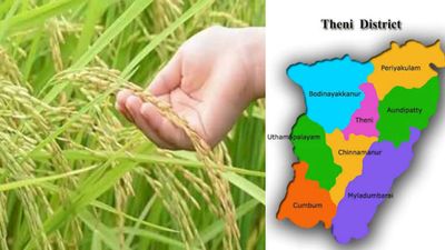 திருவள்ளூரில் விவசாயிகளுக்கு இன்ப அதிர்ச்சி.. ரூ.545 கட்டி நெல் பயிர் காப்பீடு.. ஆனால் ஒரு கண்டிஷன்