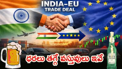 India EU Trade Deal: కార్లు, బీర్లు ధరలు ఎలా తగ్గుతాయి? 
