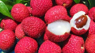 ఈ పండు.. అప్పుడప్పుడు తిన్నా చాలు