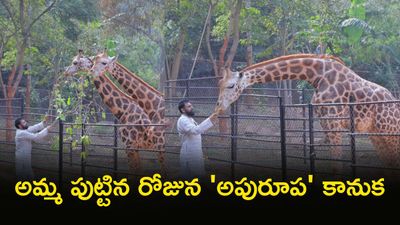 Pawan Kalyan: అమ్మ మురిసేలా.. కార్యకర్త గర్వించేలా