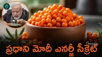 Sea Buckthorn: ప్రధాని ఇష్టంగా తినే ఈ పండు ప్రత్యేకతలేంటో తెలుసా?