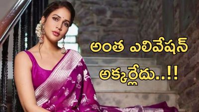 Lavanya Tripathi పోస్టుపై నెటిజెన్ల కౌంటర్స్..నీకు గొప్పేమో కానీ..!!