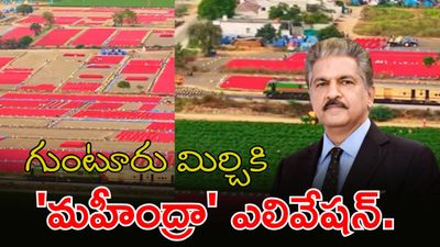 మిర్చి ఘాటుకు ఆనంద్ మహీంద్రా ఫిదా.. ఏపీకి సూపర్ ఐడియాలు!