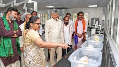 తిరుమల తరహాలో గుంటూరు, విశాఖలలో... మంత్రి గుడ్ న్యూస్!