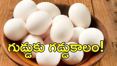 యుద్ధం ఎఫెక్ట్: కుప్పకూలిన గుడ్డు ధరలు! 