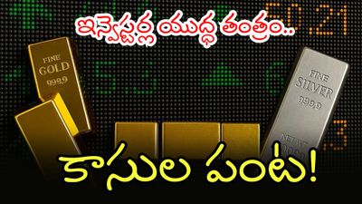 Gold మెరిసింది, వెండి కాసులు కురిపించింది.