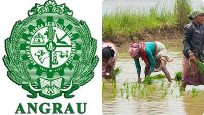 ఏపీలో రైతులకు అలర్ట్-ఎన్టీరంగా వ్యవసాయ యూనివర్శిటీ కీలక సూచనలు..!