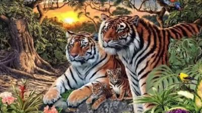 ఈ ఫోటోలో ఉన్న మొత్తం 16 పులులను కనిపెట్టారా..? 