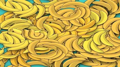 ఈ అరటి కాయల మధ్య ఉన్న పామును కనిపెట్టగలరా..?