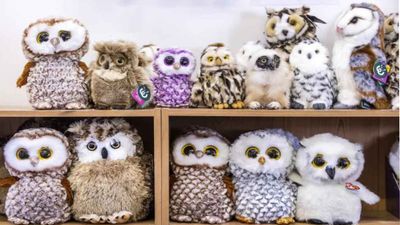 ఈ బొమ్మల్లో నిజమైన 