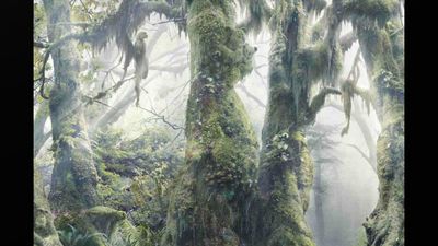 ఈ ఫోటోలో ఎన్ని జంతువులు ఉన్నాయో చెప్పగలరా..? 