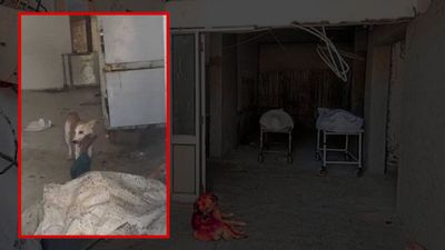 మృతదేహాన్ని పీక్కుతిన్న కుక్క.. మార్చరీలో ఒళ్లు గగుర్పొడిచే ఘటన