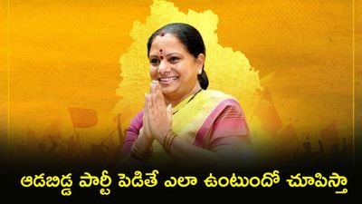 కవిత కొత్త పార్టీ.. 'సర్వోదయ తెలంగాణ సాధన'?