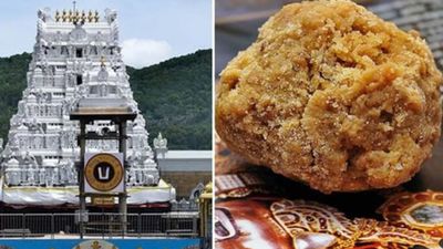 తిరుమల లడ్డూ వ్యవహారంలో కీలక పరిణామం.. రంగంలో దిగారు