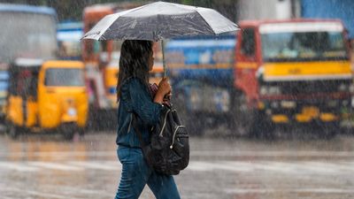 ఏపీలోని ఈ జిల్లాల్లో వర్షాలు పడే ఛాన్స్