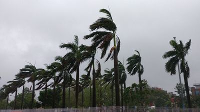 బంగాళాఖాతంపై ఆవర్తనం- ఏపీలో వర్షాలు