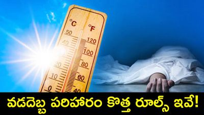 వడదెబ్బతో చనిపోతే భారీ సాయం! డబ్బులు రావాలంటే ఇవి ఉండాల్సిందే!
