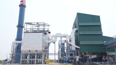 ఆయిల్ పామ్ రైతులకు తెలంగాణ గుడ్ న్యూస్