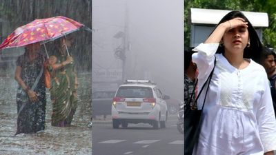 ఏపీకి కూల్ న్యూస్.. దట్టమైన పొగమంచు.. ఈ జిల్లాలలో వర్షాలు! 