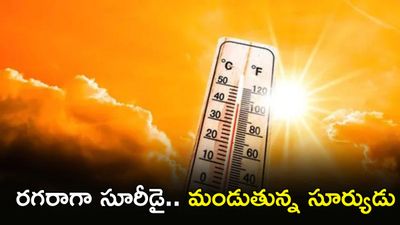 రోళ్లు పగులుతున్నాయ్: సీమలో సెగలు, కోస్తాలో ఉక్కపోత