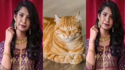 పిల్లుల కోసం ఇద్దరు యువతుల ఆత్మహత్య.. ఇదెక్కడి విడ్డూరం !!