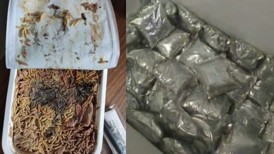 బిర్యానీ ఆర్డర్ చేస్తే... ఎలుకలు, బొద్దింకలు..