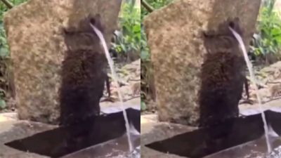 500 ఏళ్లనాటి రాతి కుళాయి.. వీడియో వైరల్ ???