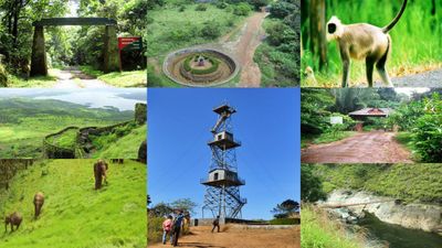 దేశంలోని ఈ అడవుల్లో పర్యటిస్తే మాటల్లో చెప్పలేని అనుభూతి..!