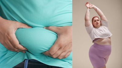 కొవ్వుతోనే కొవ్వుకు చెక్: మన శరీరంలోని 'బ్రౌన్ ఫ్యాట్' రహస్యం..