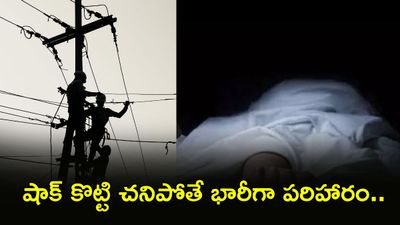 కరెంట్ బిల్: కట్టిన డబ్బులు వాపస్.. ఎలాగో చూడండి!