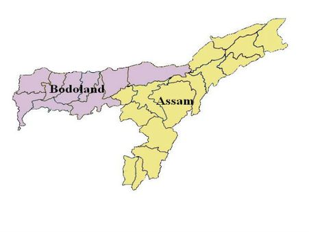 বোড়োল্যান্ডের দাবি খতিয়ে দেখতে কমিটি গড়ল কেন্দ্র