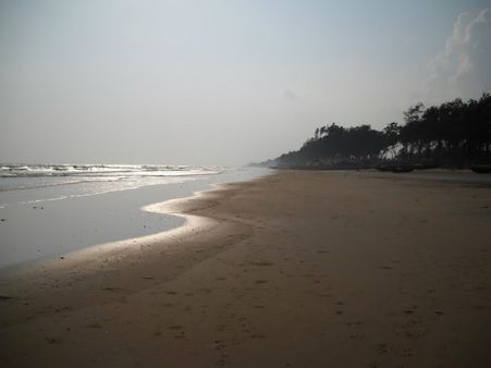 কঠোর প্রশাসন, তাজপুরে ভাঙা পড়ল তিনটি বেআইনি হোটেল