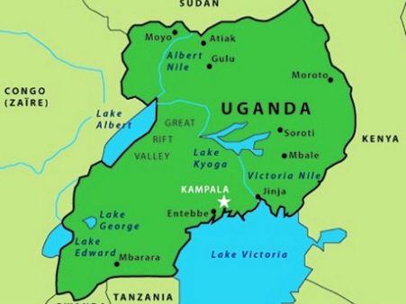 পার্লামেন্টে শুয়োরছানাদের বিচরণ! আটক দুই যুবক