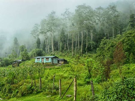 ছুটিতে চলুন স্বল্পচেনা সিলারিগাঁও