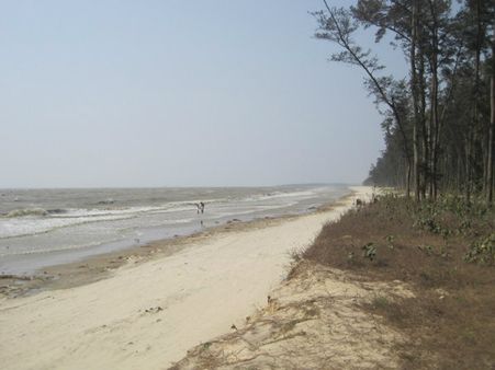 নিরিবিলি অবকাশ অথবা মধুচন্দ্রিমার সেরা ঠিকানা বাঁকিপুট