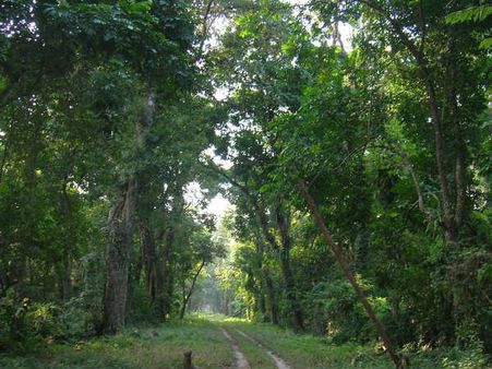 ছুটিতে আদিম অরণ্যের অন্দরমহলে, চলুন মেন্দাবাড়ি