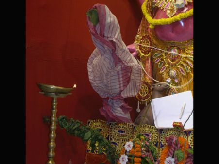 কলাবউ গণেশের বউ নয়, মহামায়ার ভিন্ন রূপ